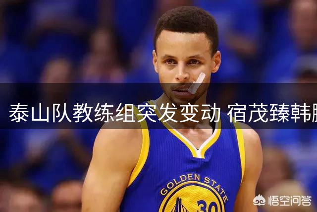 泰山队教练组突发变动 宿茂臻韩鹏双双下课引热议